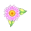 翠菊手環-T